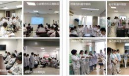 医科大学爆料事件最新,揭开校园腐败与学术不端黑幕