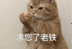 最新狗仔爆料图片表情包,最新爆料图片表情包大揭秘！